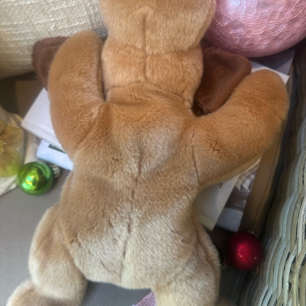 Tye Beanie Babies Original Dog “The Dog” From The Beanie Buddies Collection NWOT - Picture 3 of 5